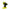 Space Out Flash Back Torch (5 Colors)