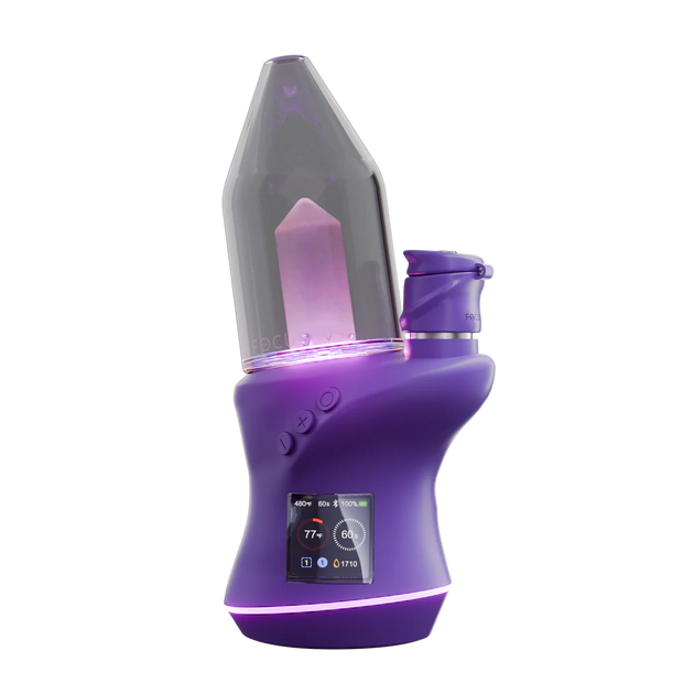 Focus V Carta 2 Kit - Grape