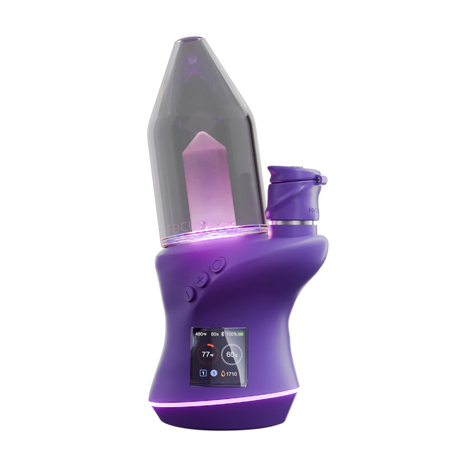 Focus V Carta 2 Kit - Grape